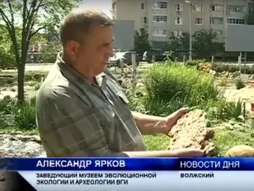 Ахтуба-ТВ. 2011 г. Новости дня. О 