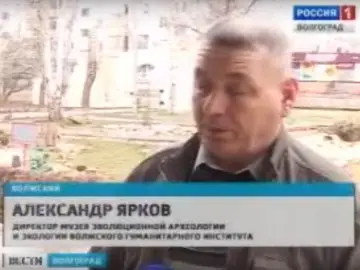 Волгоград-ТРВ. 2011 г. О 