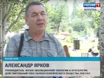 Волгоград-ТРВ. 2013 г. Горка 
