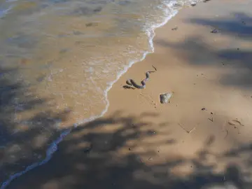 Водяной уж ест бычка