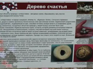 Каталог 