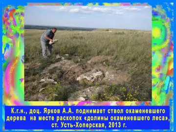 Сбор экспонатов для 