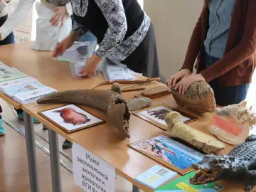 Профориентационная выставка во Дворце творчества детей и молодёжи